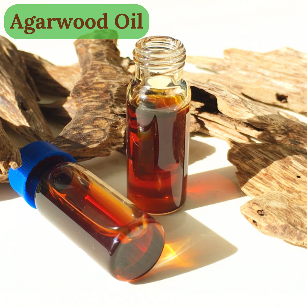 Oil Bottle